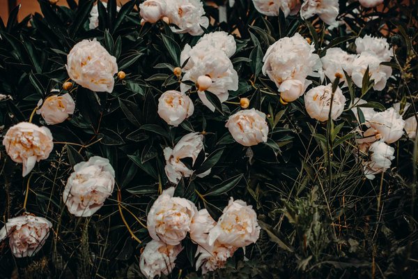 Éléments essentiels pour acheter un tableau arabe à petit prix