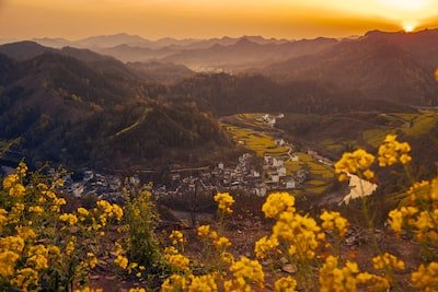 Papier peint panoramique : quels sont les critères de sélection ?